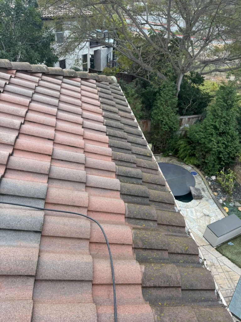 Roof Cleaning, Pressure Washing, Allied Gardens